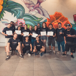 Wap Alta 267 Wap Alta 267